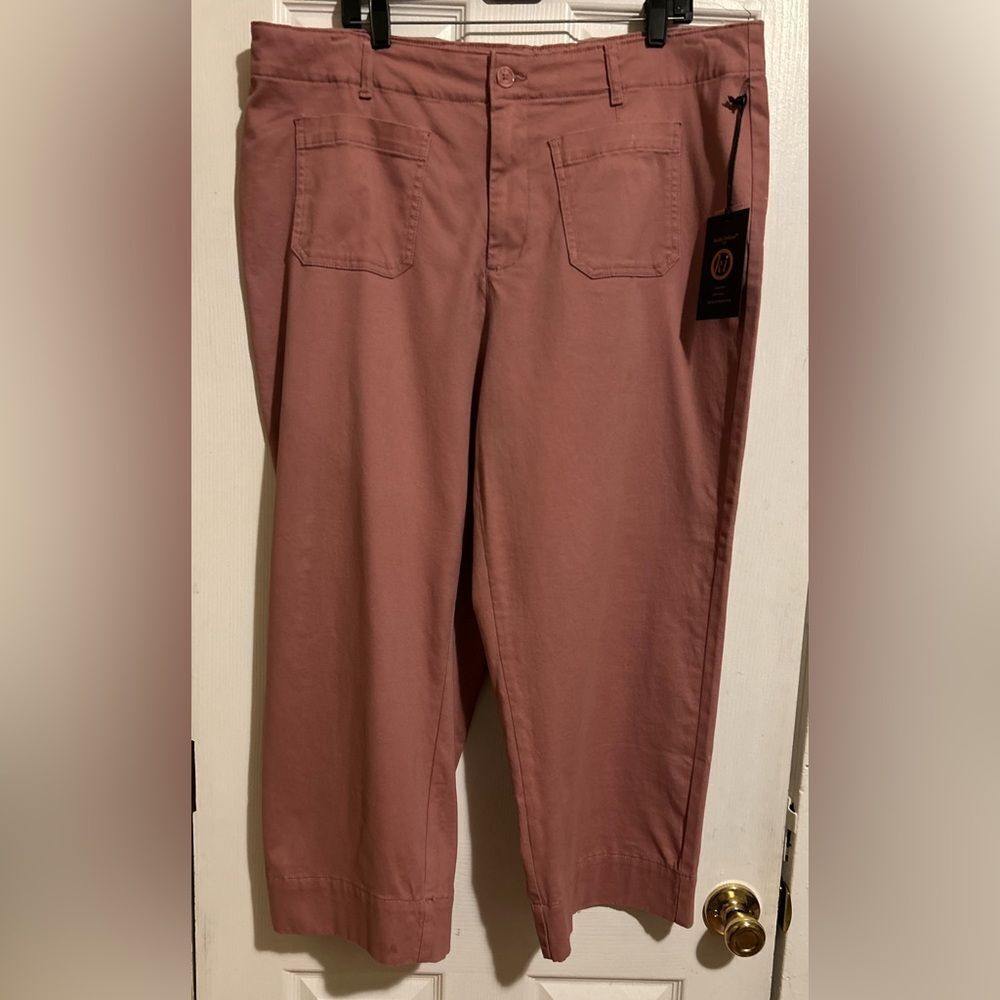 Kathy Ireland Pants Size 18W